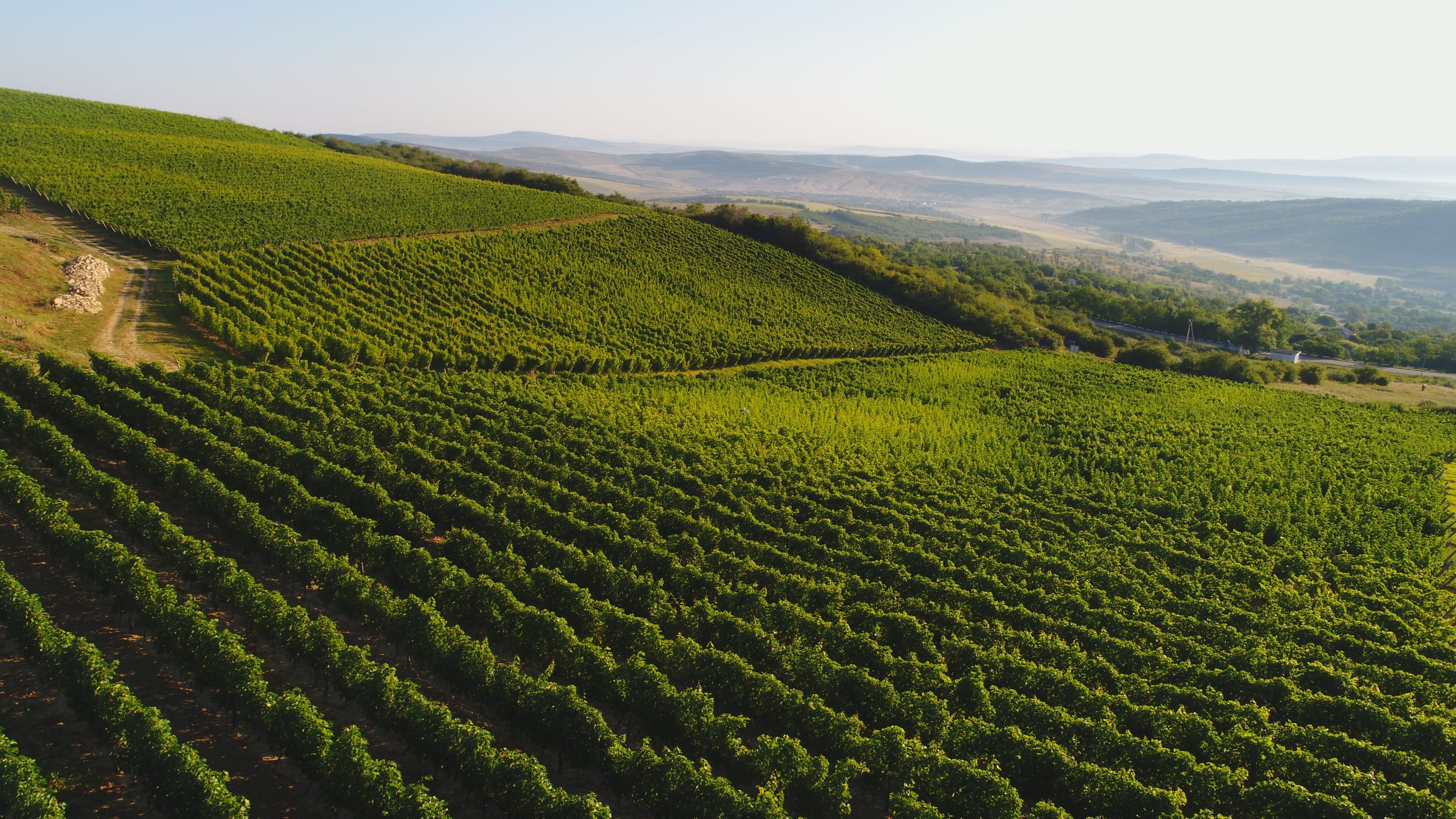 Wine Regions Wine of Moldova