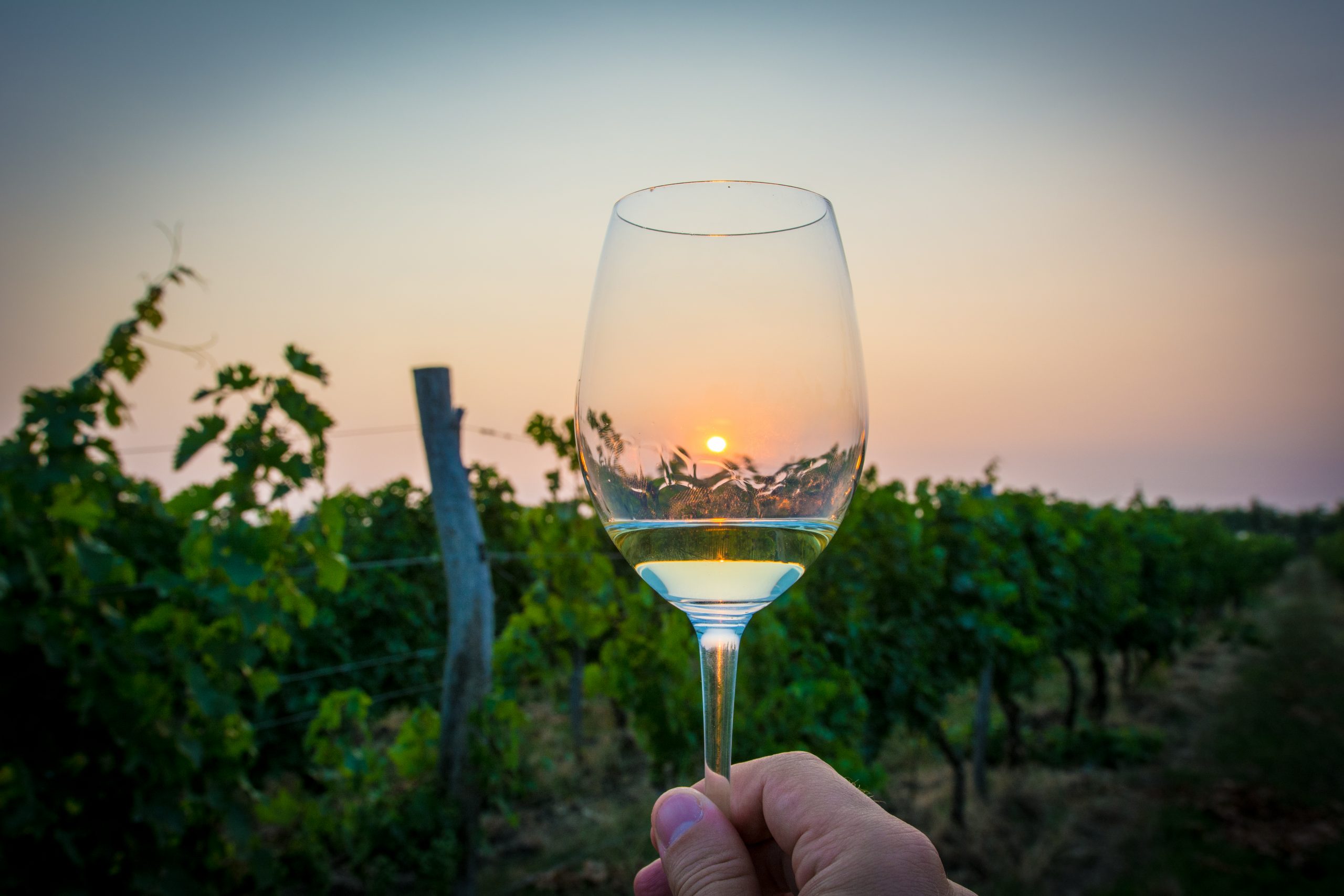 Moldovan Wine Wine of Moldova