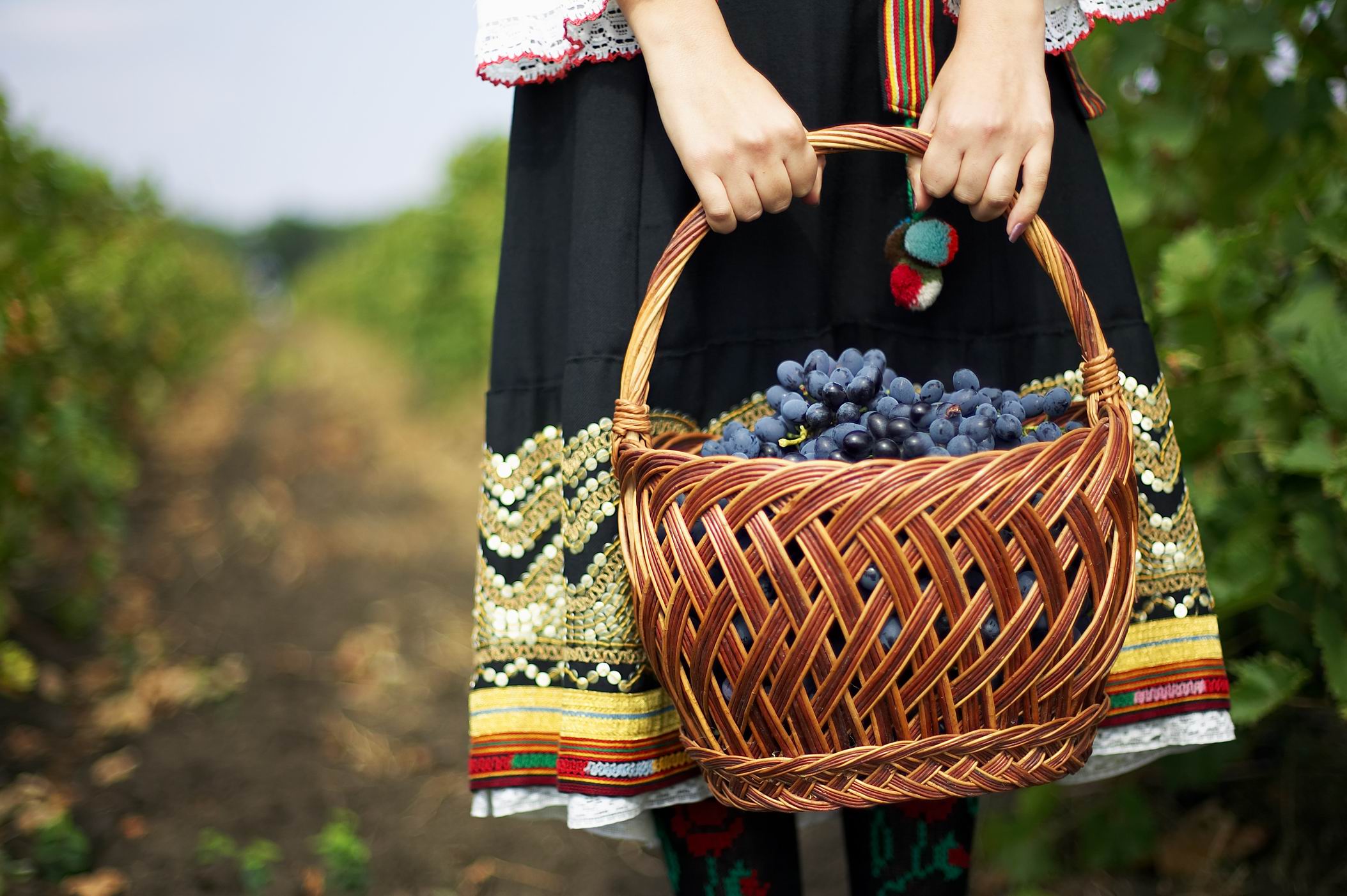 History of Moldovan Wine Wine of Moldova