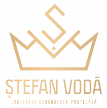 Logo IGP Stefan Voda