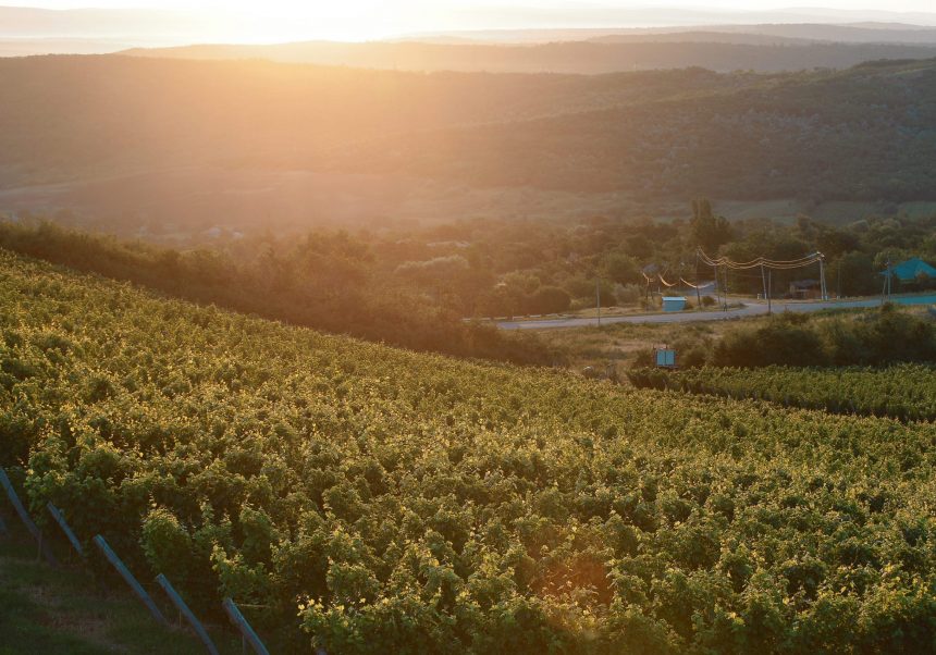 Wine Regions Wine of Moldova